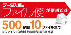 データ入稿はファイル便が便利です