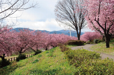榛の森公園