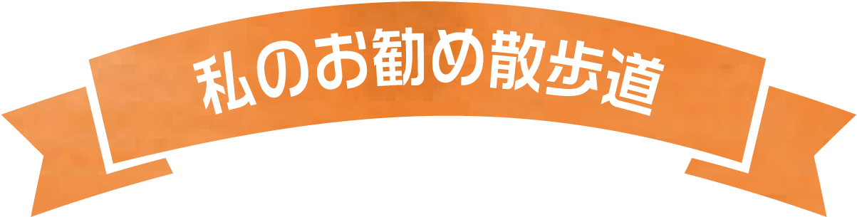 私のお勧め散歩道