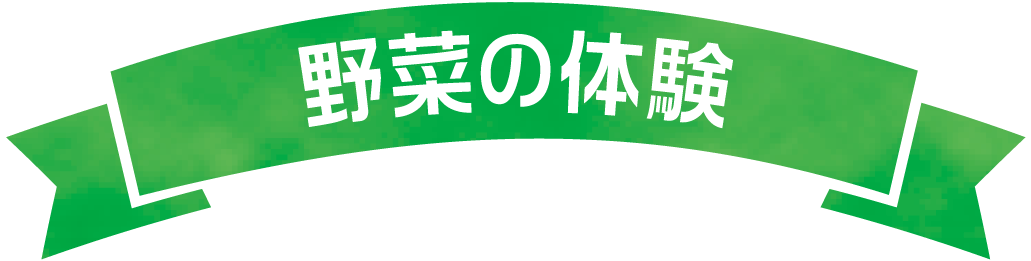 野菜の体験