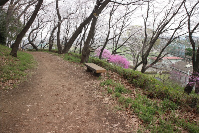 仙元山
