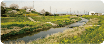 榛の森公園