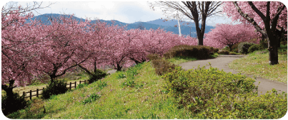 榛の森公園