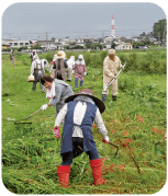 榛の森公園